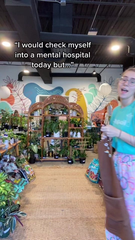 Post 10 by House Plant Collective on TikTok (video)