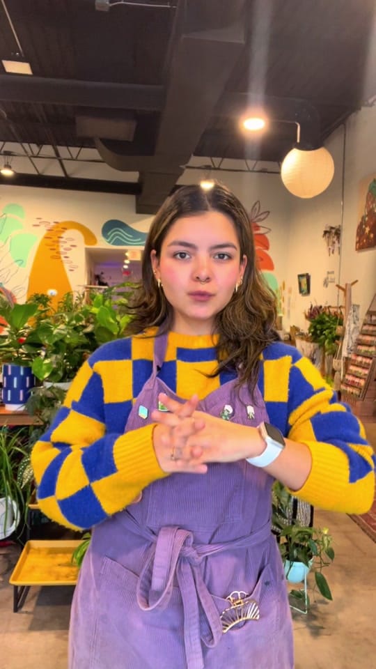 Post 4 by House Plant Collective on TikTok (video)