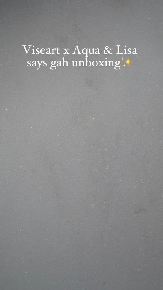 Post 5 by viseart on TikTok (video)