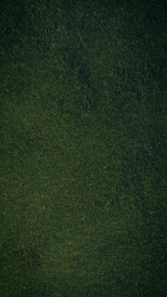 Post 4 by Rugbystuff on TikTok (video)