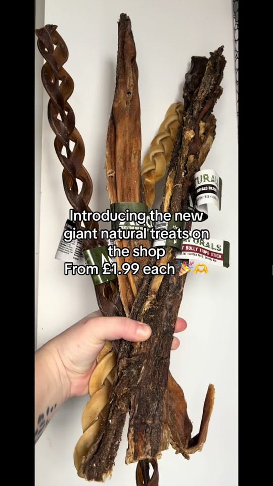Post 10 by HappyWoofs&Purrs on TikTok (video)