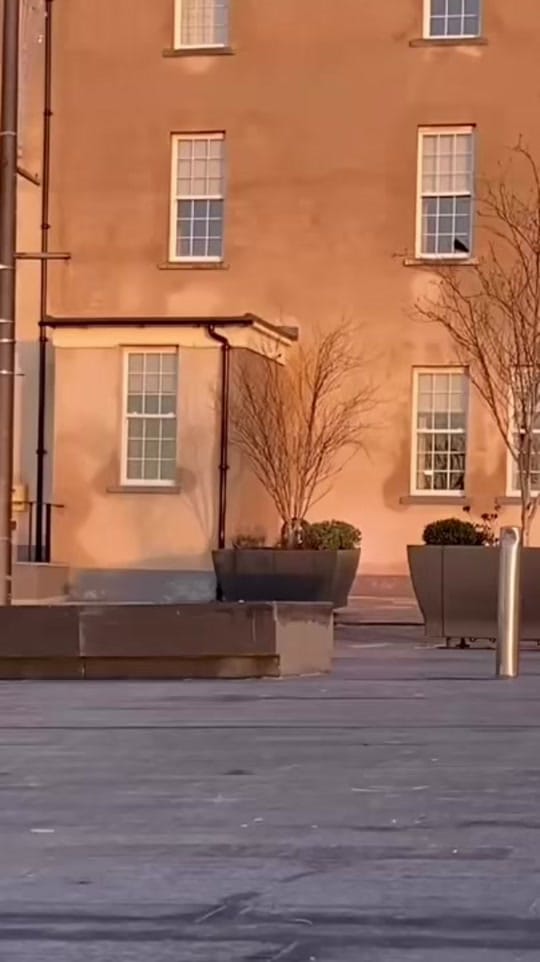 Post 9 by welcomeskatestore on TikTok (video)
