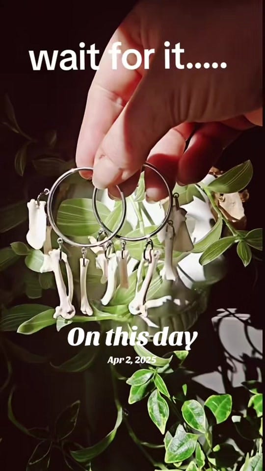 Post 7 by Bare Bones Cornwall🇬🇧 on TikTok (video)