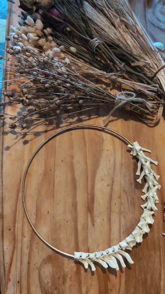 Post 10 by Bare Bones Cornwall🇬🇧 on TikTok (video)