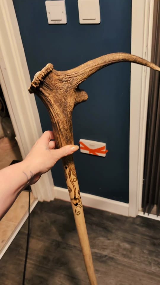 Post 1 by Bare Bones Cornwall🇬🇧 on TikTok (video)