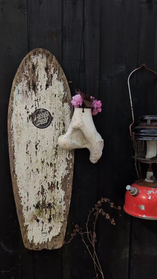 Post 2 by Bare Bones Cornwall🇬🇧 on TikTok (video)