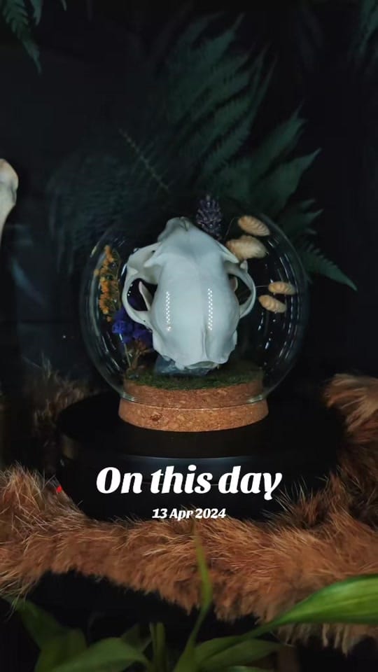 Post 4 by Bare Bones Cornwall🇬🇧 on TikTok (video)