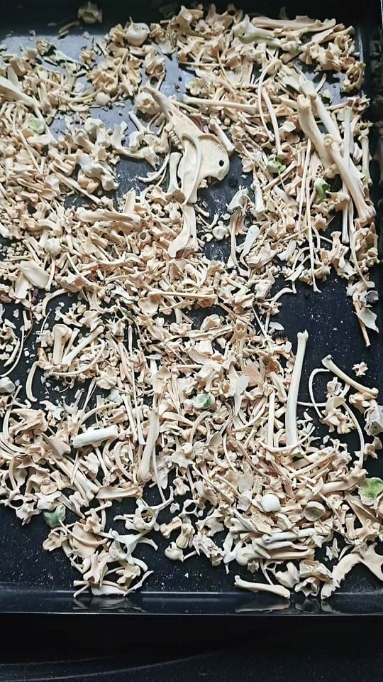Post 8 by Bare Bones Cornwall🇬🇧 on TikTok (video)