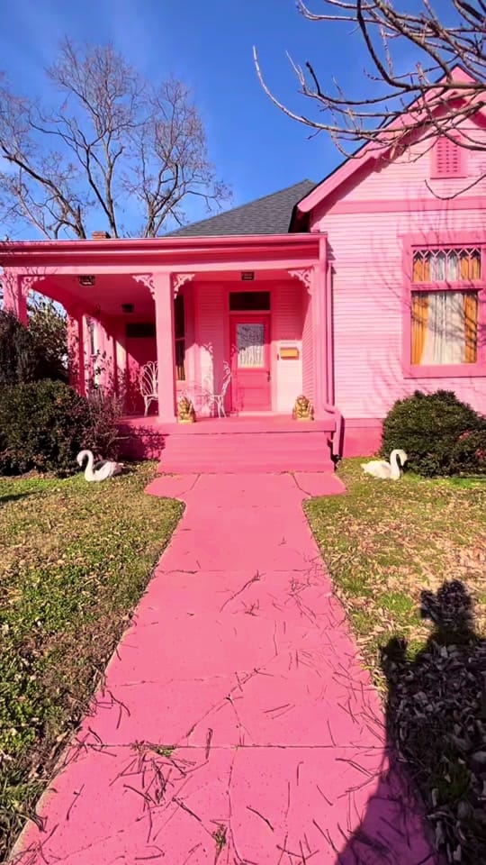 Post 4 by House Of Adora on TikTok (video)