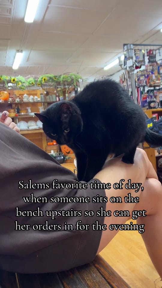 Post 10 by Black Cat Vintage ✨ on TikTok (video)