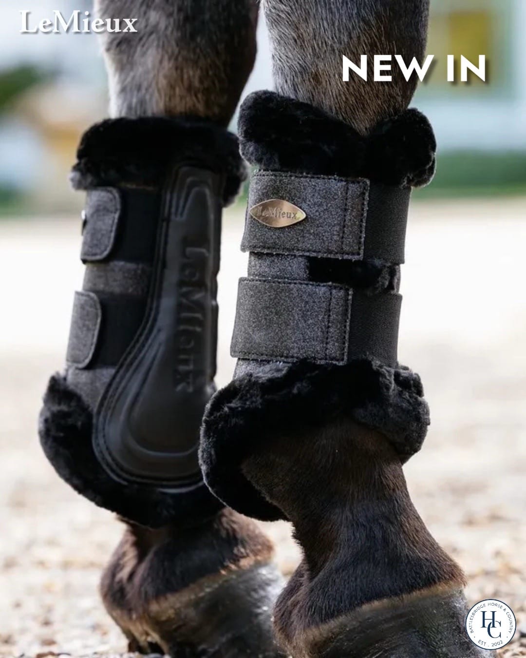 Post 4 by Battlesbridge horse & country on TikTok (video)