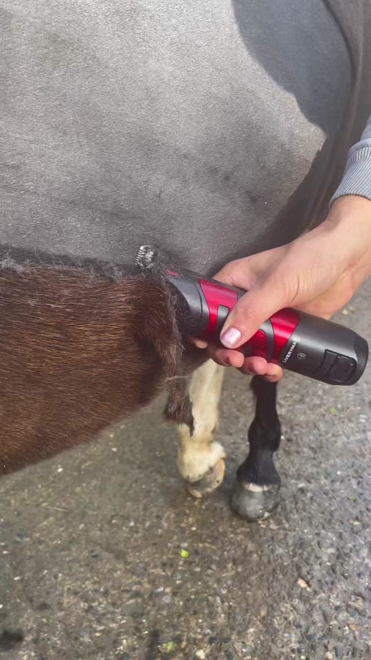Post 6 by Battlesbridge horse & country on TikTok (video)