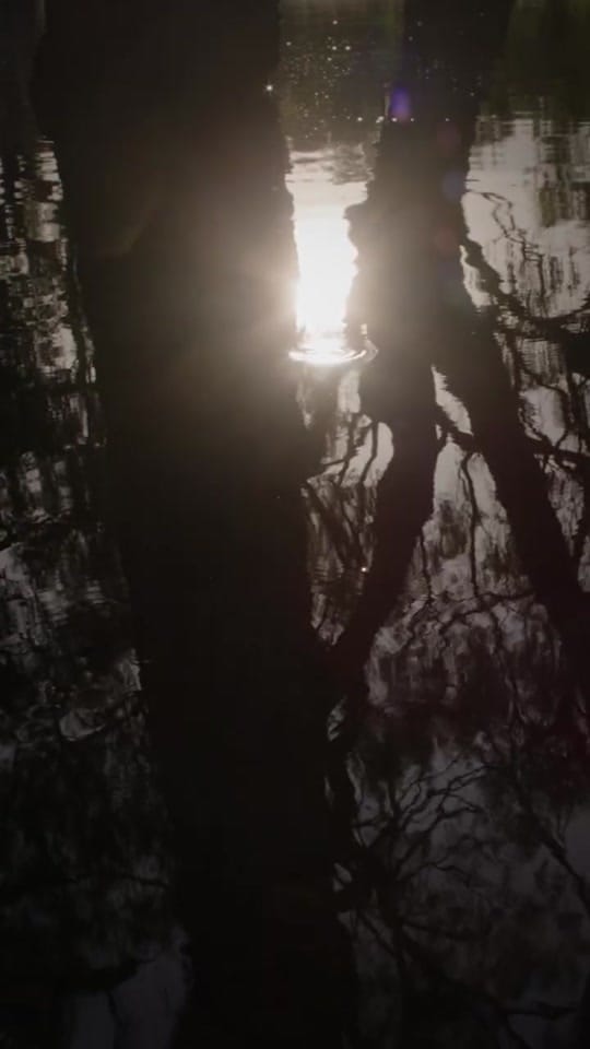 Post 1 by Jaan London on TikTok (video)