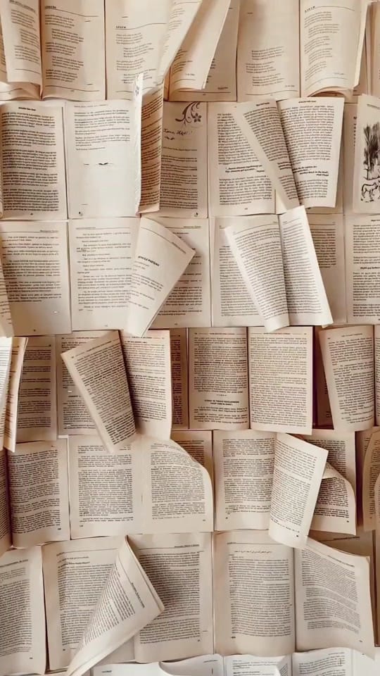 Post 2 by Chapters Bookstore Ireland on TikTok (video)