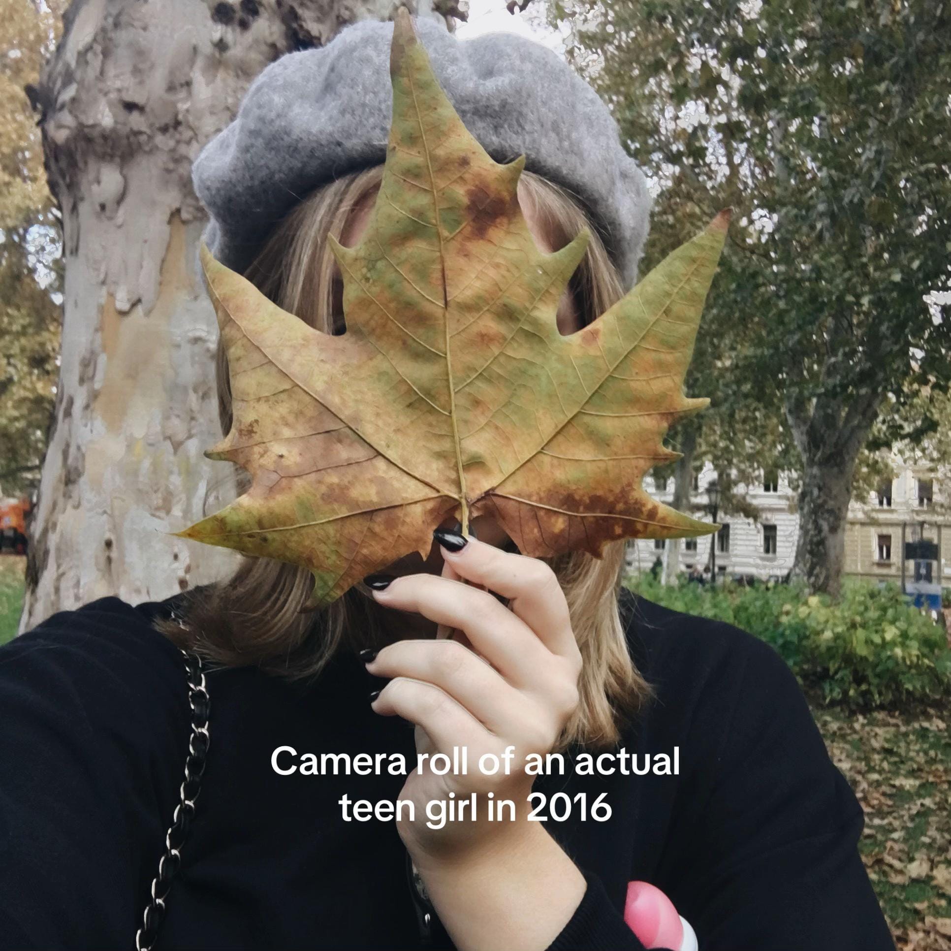 Post 8 by Holly on TikTok (video)
