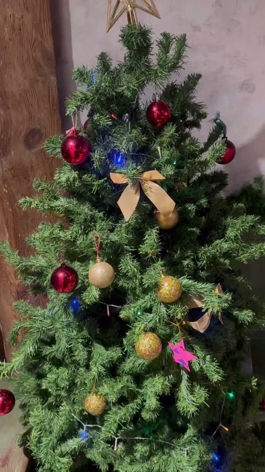 Post 6 by Dijana Dreadlock Shop London on TikTok (video)