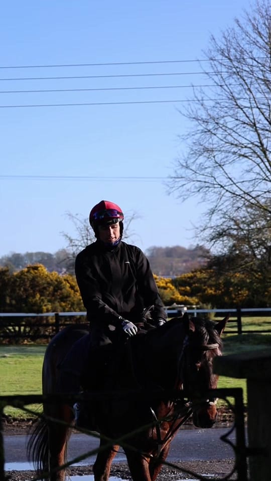 Post 2 by TRI Equestrian on TikTok (video)