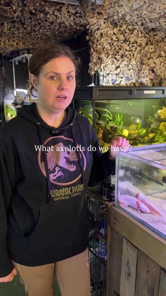 Post 9 by World Of Fish & Pets on TikTok (video)