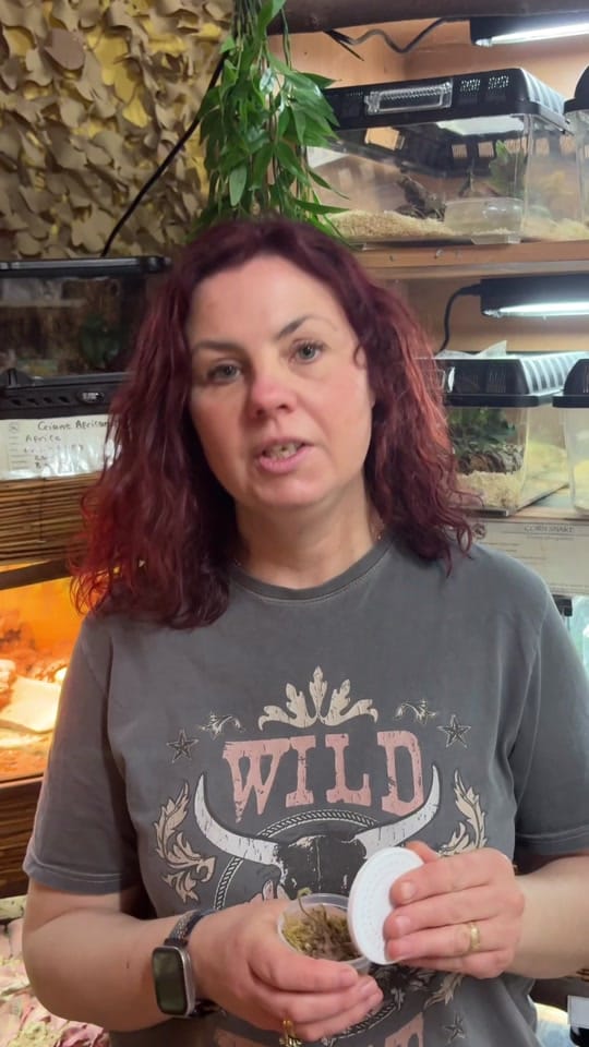 Post 2 by World Of Fish & Pets on TikTok (video)