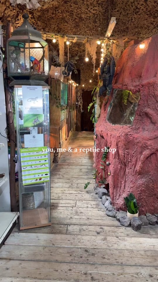 Post 8 by World Of Fish & Pets on TikTok (video)