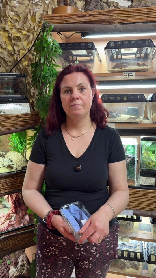 Post 6 by World Of Fish & Pets on TikTok (video)