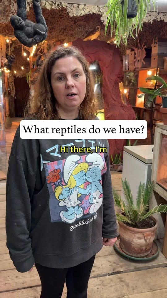 Post 10 by World Of Fish & Pets on TikTok (video)