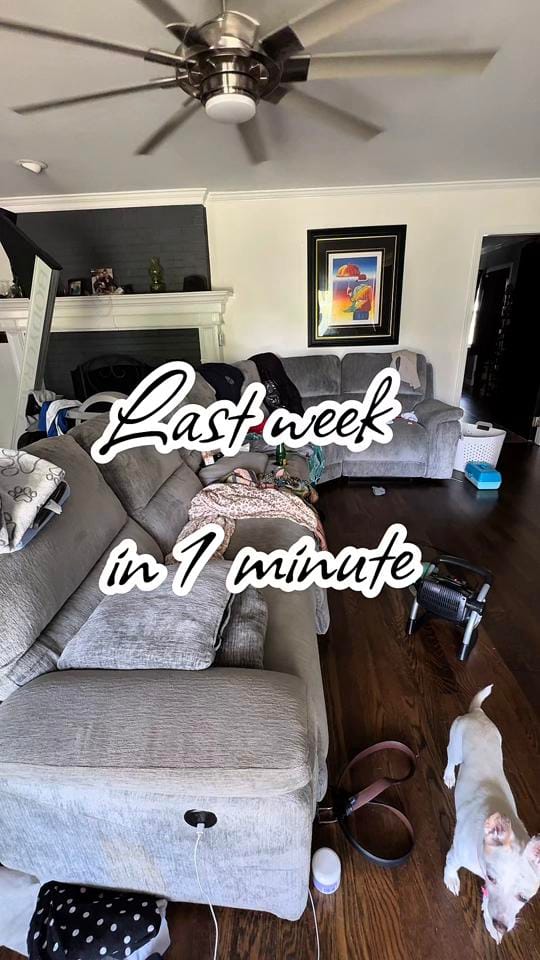 Post 5 by Tiff on TikTok (video)
