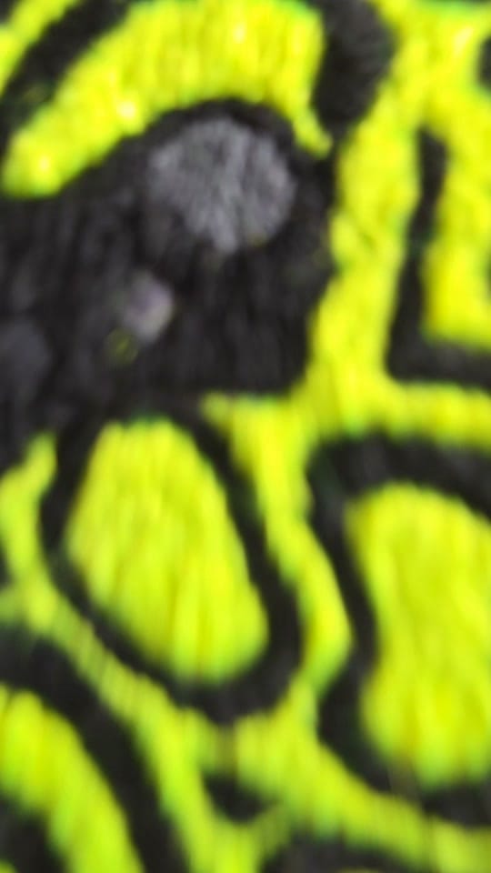 Post 3 by RaceCraft F1 Embroidery 🏎️ on TikTok (video)