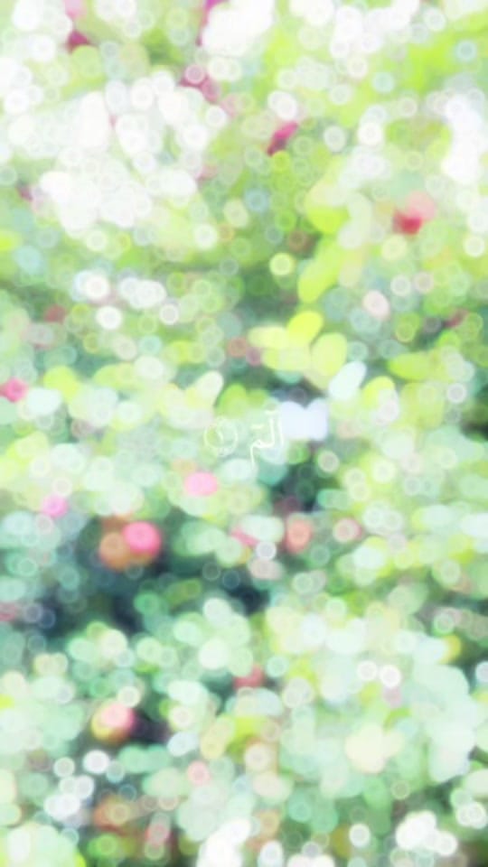 Post 6 by MR-uk on TikTok (video)