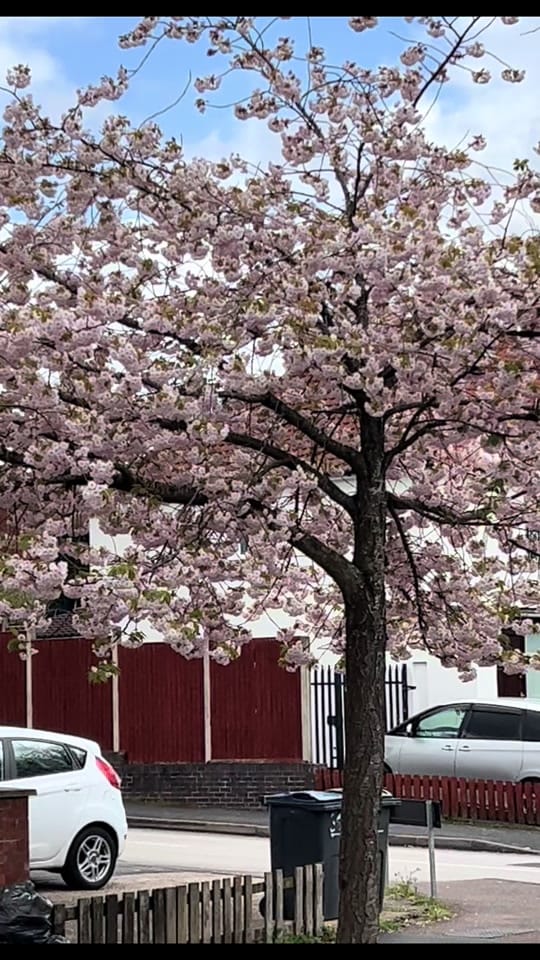 Post 3 by MR-uk on TikTok (video)