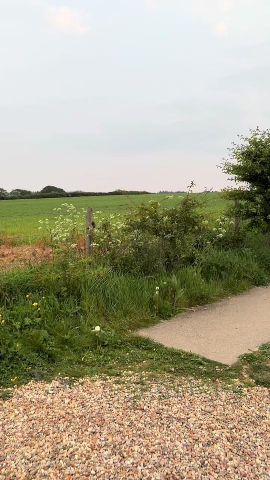 Post 2 by sarahscreativekit on TikTok (video)