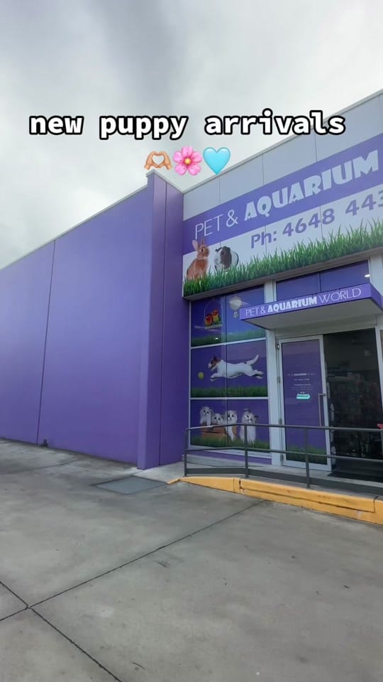 Post 8 by Pet And Aquarium World on TikTok (video)