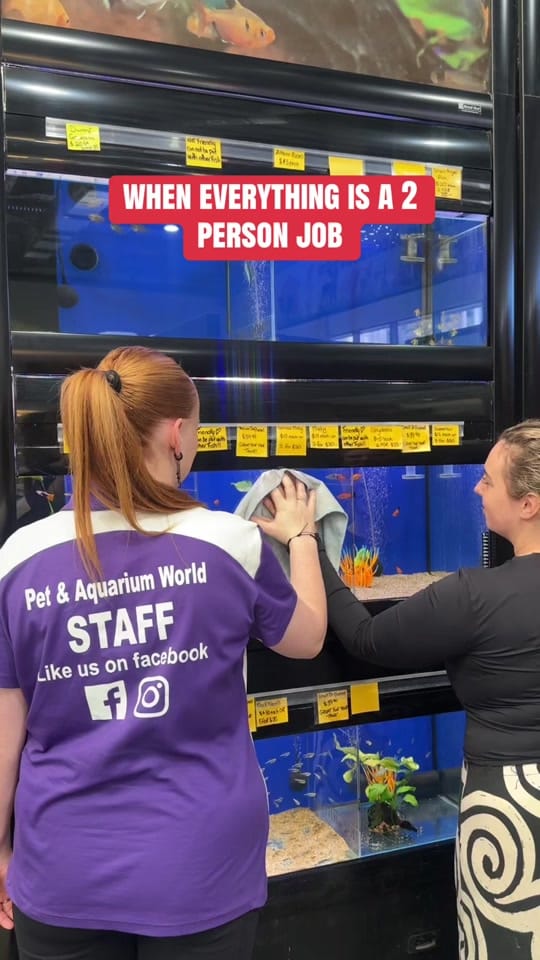Post 4 by Pet And Aquarium World on TikTok (video)