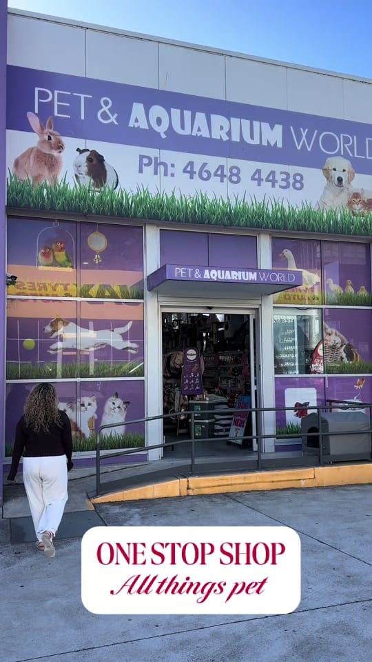 Post 6 by Pet And Aquarium World on TikTok (video)