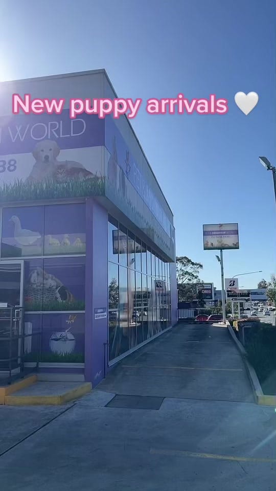 Post 10 by Pet And Aquarium World on TikTok (video)