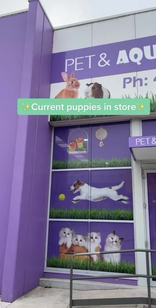 Post 9 by Pet And Aquarium World on TikTok (video)