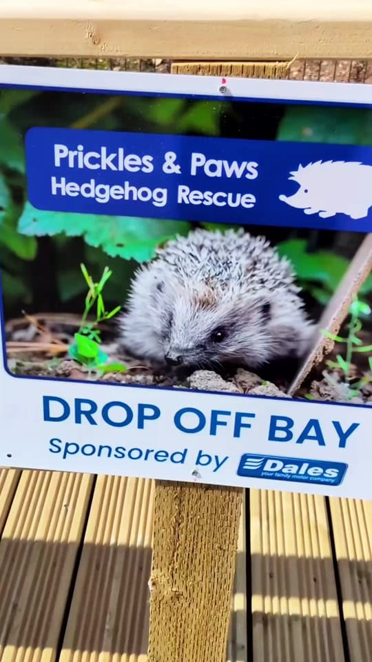 Post 5 by Prickles &Paws Hedgehog Rescue on TikTok (video)