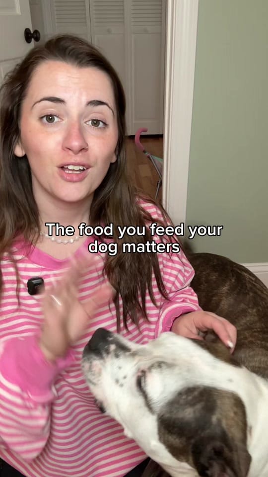 Post 5 by Chelsea | Dog & Toddler Mom on TikTok (video)