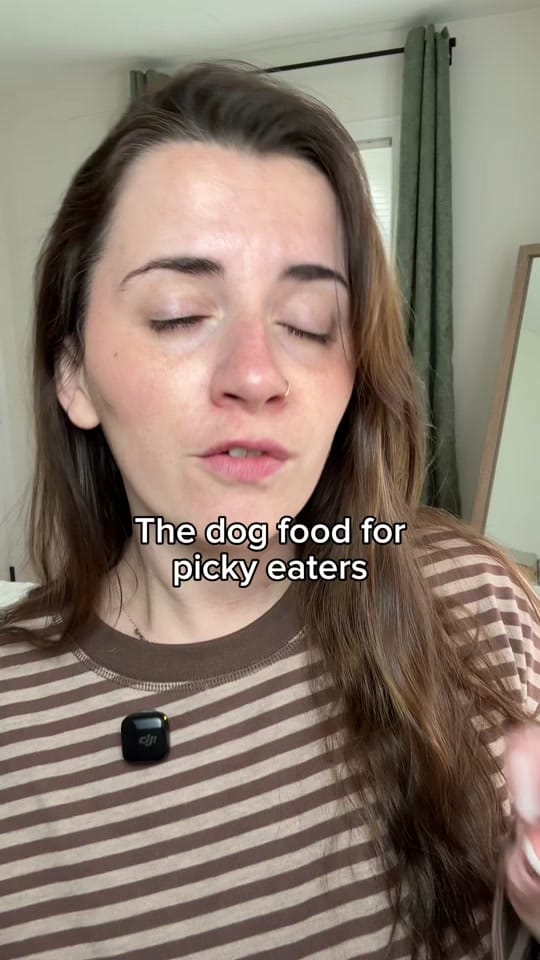 Post 2 by Chelsea | Dog & Toddler Mom on TikTok (video)