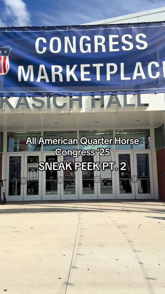 Post 4 by Painted Cowgirl on TikTok (video)