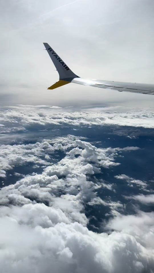 Post 8 by Angjelina 🪽 on TikTok (video)