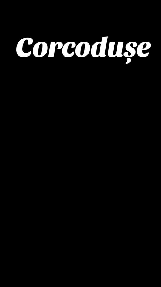 Post 2 by TransylvaniaShop and Coffee on TikTok (video)