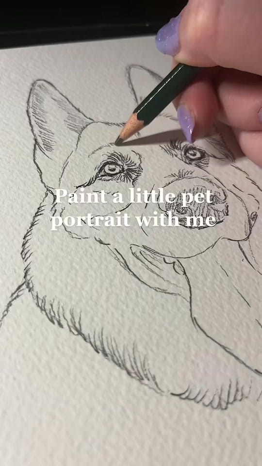 Post 2 by Mairi | Pet Portrait Artist on TikTok (video)