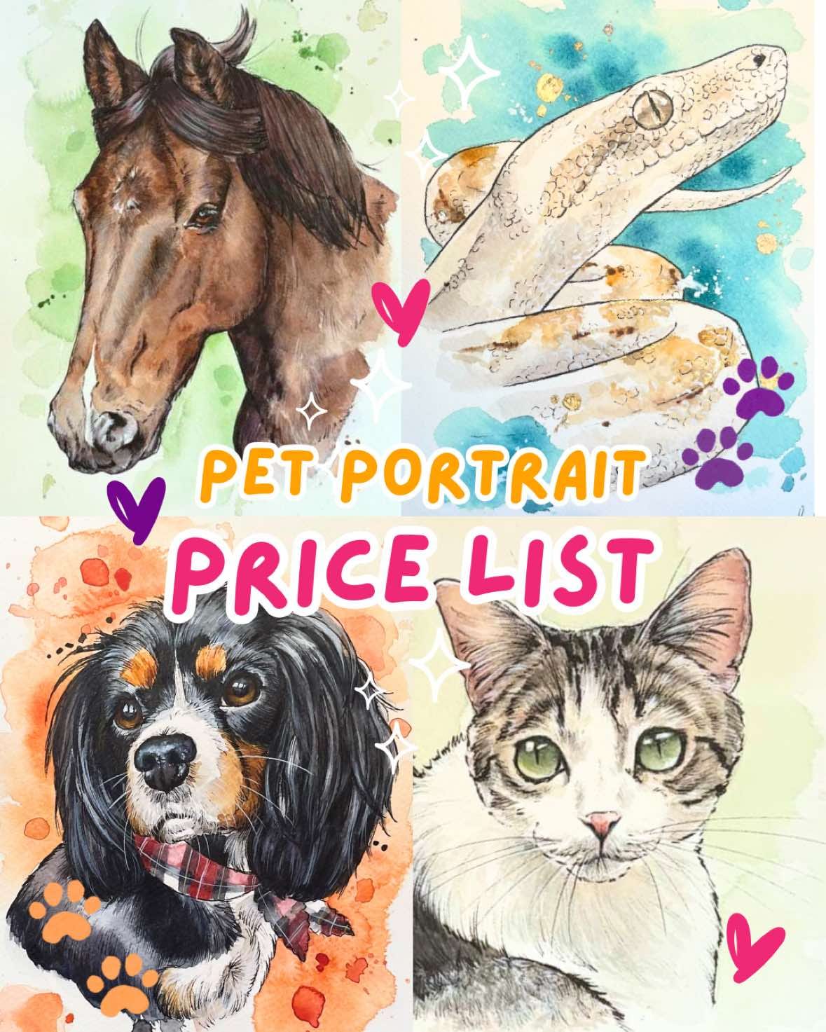 Post 9 by Mairi | Pet Portrait Artist on TikTok (video)