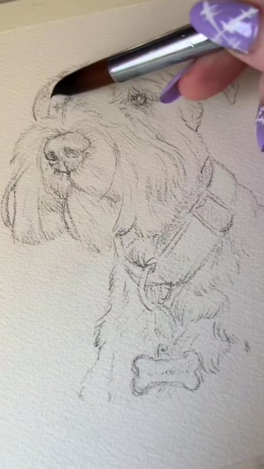 Post 6 by Mairi | Pet Portrait Artist on TikTok (video)