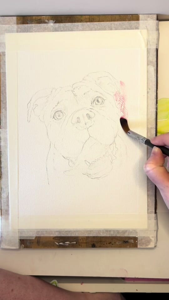 Post 3 by Mairi | Pet Portrait Artist on TikTok (video)