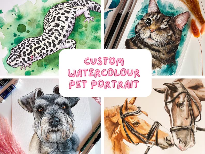 Post 10 by Mairi | Pet Portrait Artist on TikTok (video)