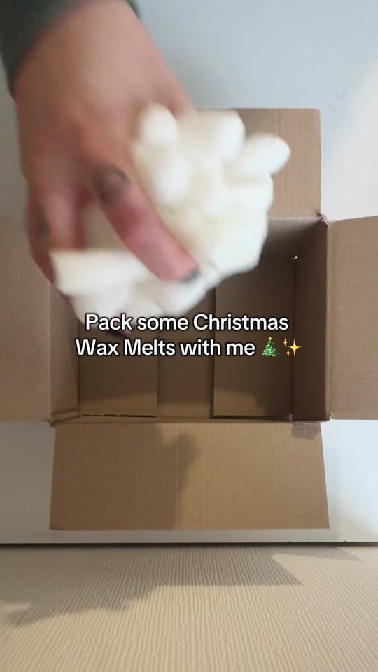 Post 2 by Charismatic Cat on TikTok (video)