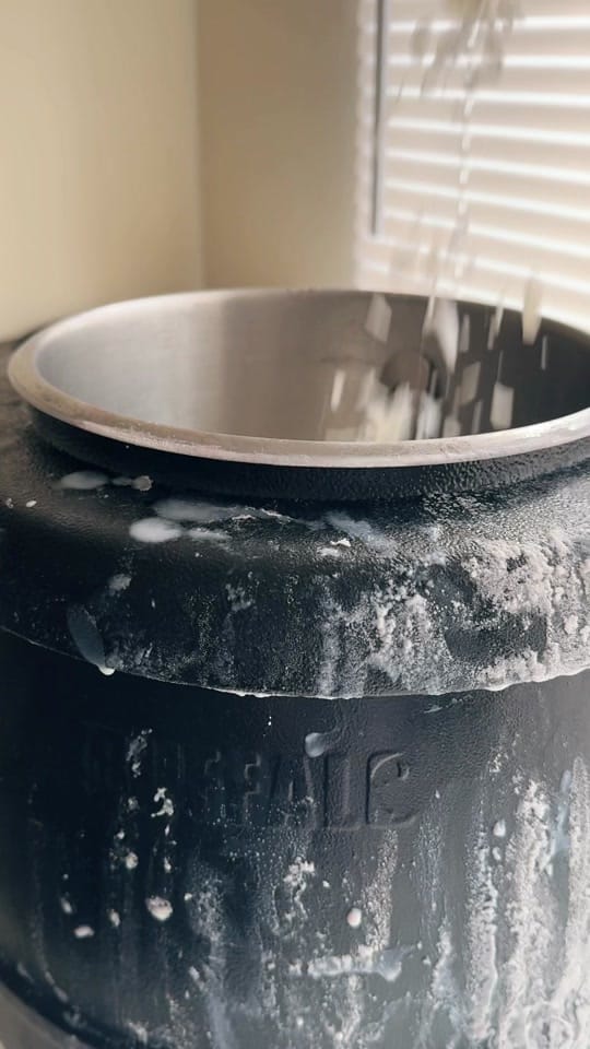 Post 4 by Charismatic Cat on TikTok (video)