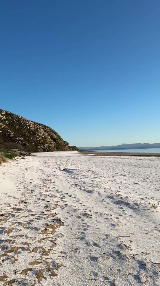 Post 8 by Charismatic Cat on TikTok (video)